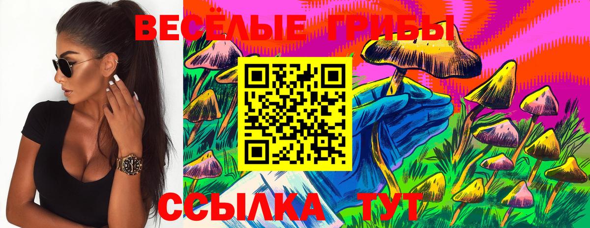 Биробиджан  Галлюциногенные грибы мицелий  Вход с VPN 