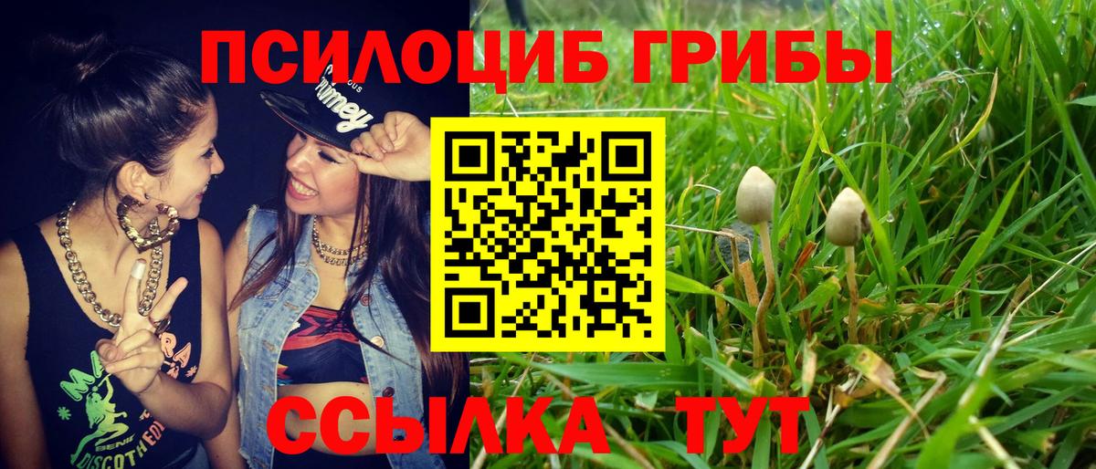 Псилоцибиновые грибы Magic Shrooms Биробиджан